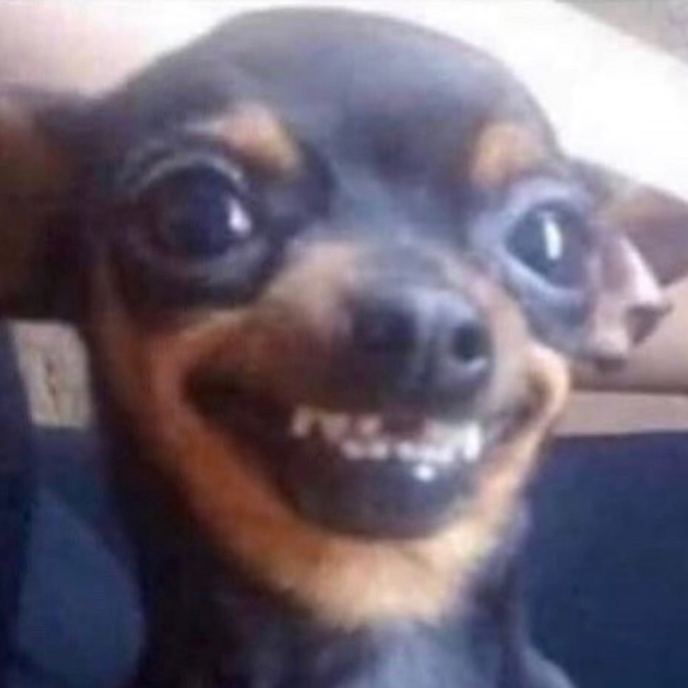 Meet your Posher, Joan